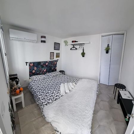 Garden Room بيزا المظهر الخارجي الصورة