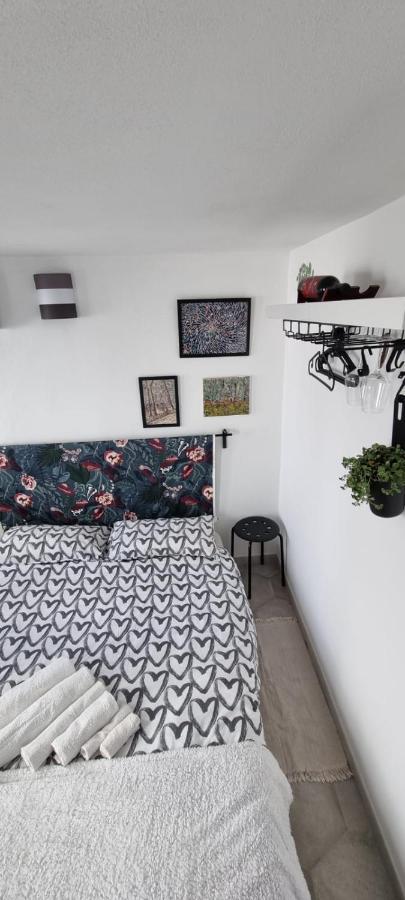Garden Room بيزا المظهر الخارجي الصورة