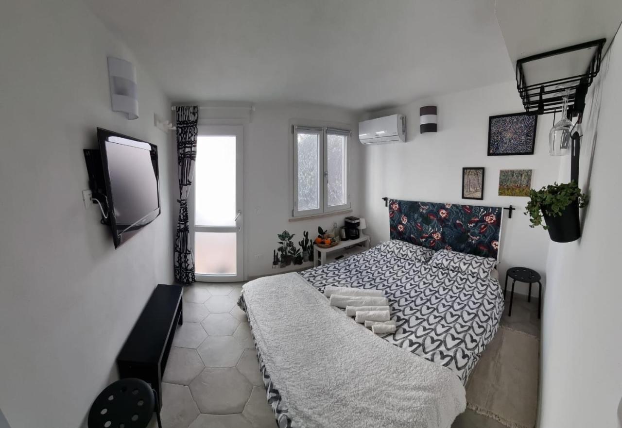 Garden Room بيزا المظهر الخارجي الصورة